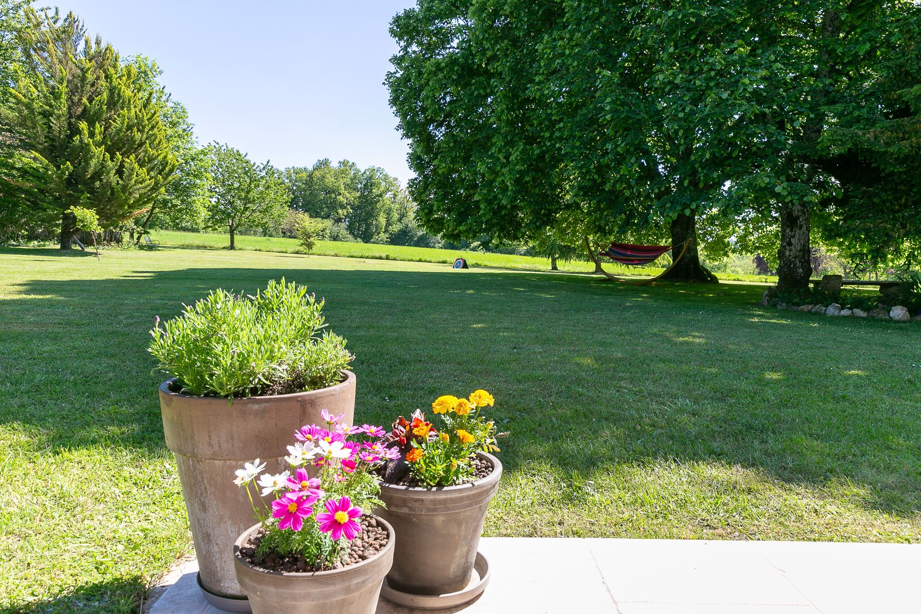 Flowers in the garden of La Banne