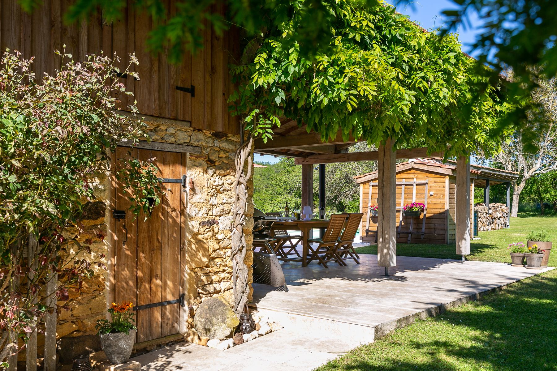 Wisteria at the barn