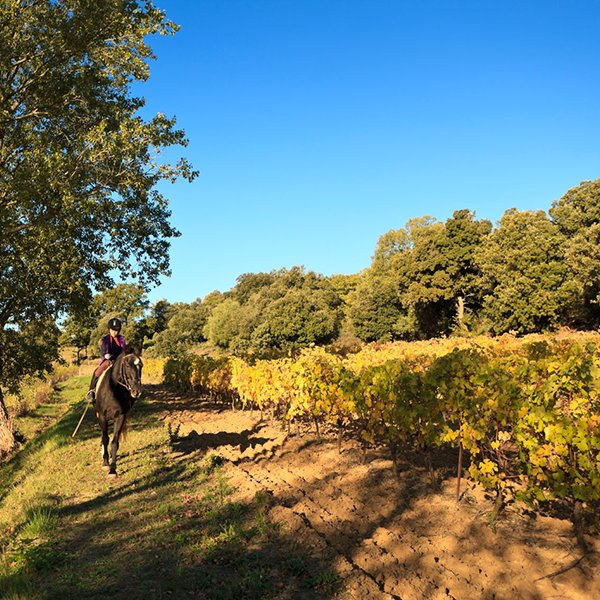 Balade à cheval dans la campagne