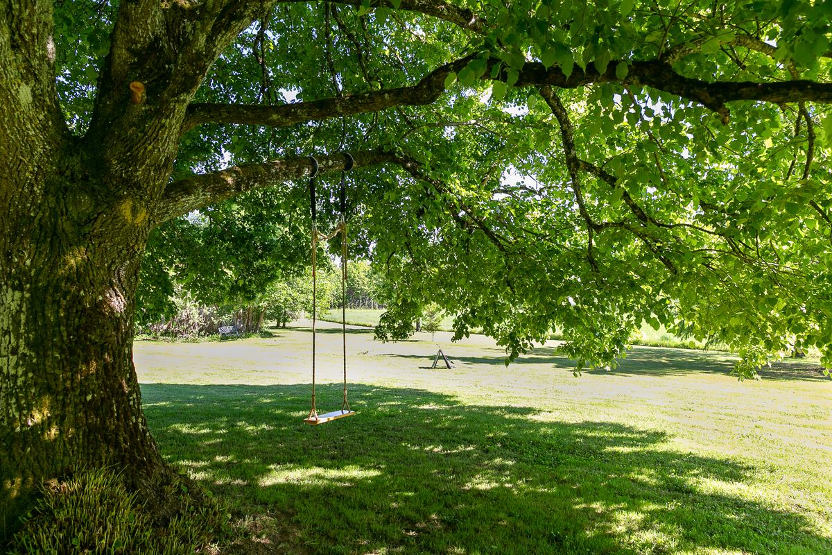 The garden